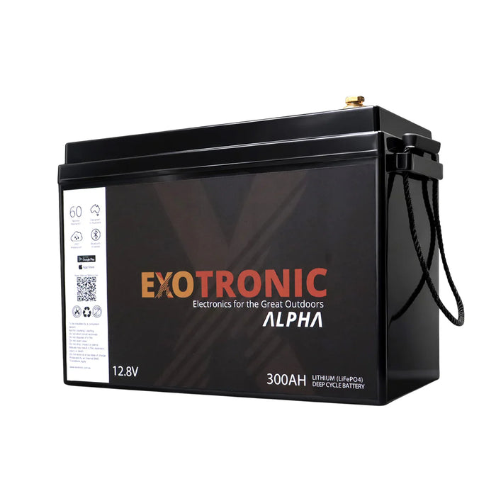 M2X More To Explore 12V Electrical Package